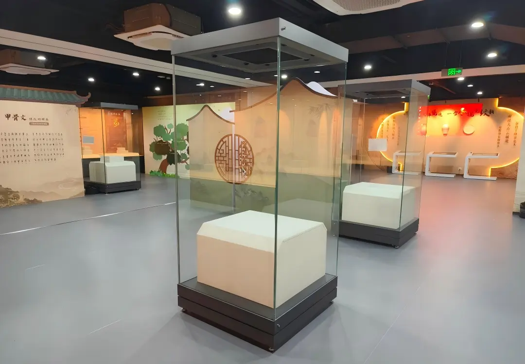 Tall freestanding museum gallery display case, vertical glass relic showcase for museum exhibition customization