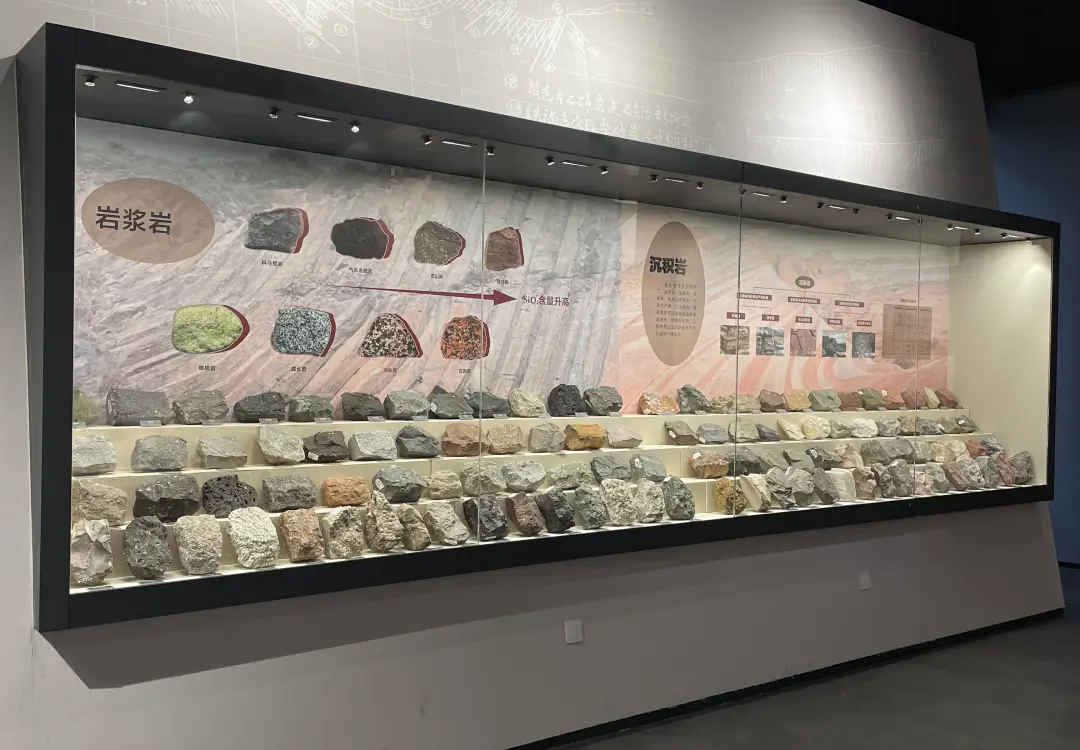 Large museum wall mounted display cases for igneous and sedimentary rock samples in geology exhibition hall