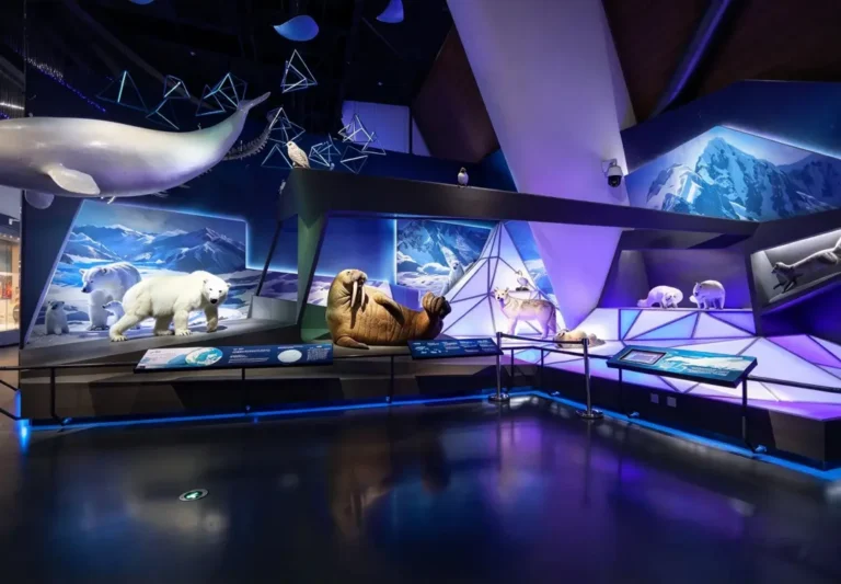 Immersive polar animal exhibition hall with animated wildlife models and interactive info panels
